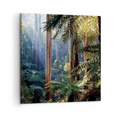 Bild auf Leinwand - Leinwandbild - Ein Waldmärchen - 50x50 cm