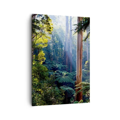 Bild auf Leinwand - Leinwandbild - Ein Waldmärchen - 50x70 cm