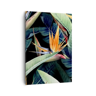 Bild auf Leinwand - Leinwandbild - Flammende Blumen der Tropen - 50x70 cm