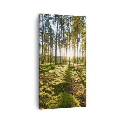 Bild auf Leinwand - Leinwandbild - … Hinter den sieben Wäldern - 55x100 cm