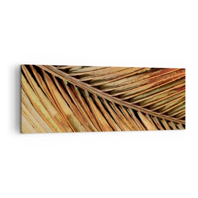 Bild auf Leinwand - Leinwandbild - Kokosnuss-Gold - 140x50 cm