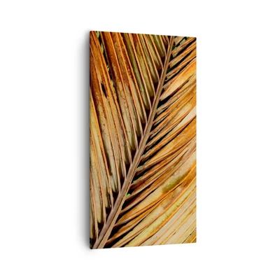 Bild auf Leinwand - Leinwandbild - Kokosnuss-Gold - 55x100 cm