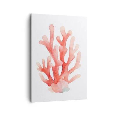 Bild auf Leinwand - Leinwandbild - Korallenfarbene Koralle - 50x70 cm