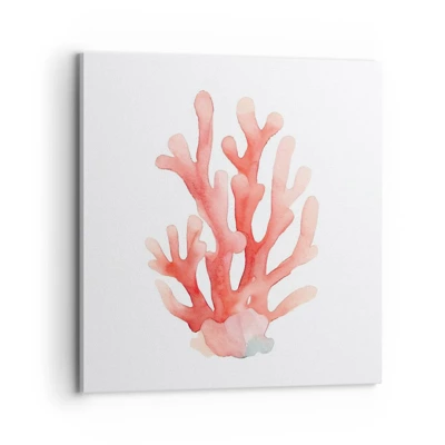 Bild auf Leinwand - Leinwandbild - Korallenfarbene Koralle - 70x70 cm