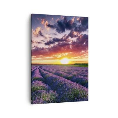 Bild auf Leinwand - Leinwandbild - Lavendel Welt - 50x70 cm