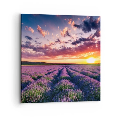 Bild auf Leinwand - Leinwandbild - Lavendel Welt - 70x70 cm