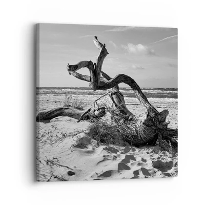 Bild auf Leinwand - Leinwandbild - Meeresskulptur - 30x30 cm