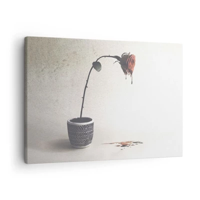 Bild auf Leinwand - Leinwandbild - Rosa dolorosa - 70x50 cm