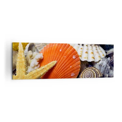 Bild auf Leinwand - Leinwandbild - Schätze des Ozeans - 160x50 cm