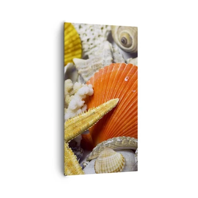 Bild auf Leinwand - Leinwandbild - Schätze des Ozeans - 65x120 cm
