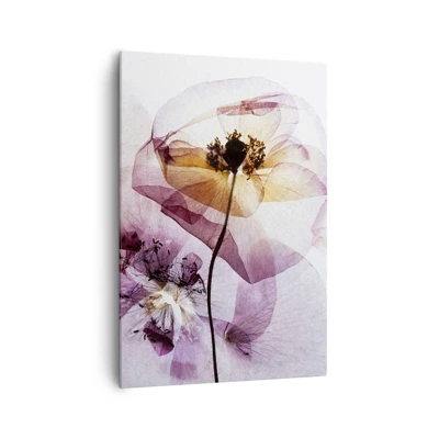 Bild auf Leinwand - Leinwandbild - Transparente Körperblumen - 70x100 cm