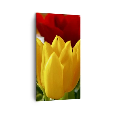 Bild auf Leinwand - Leinwandbild - Tulpenfieber - 45x80 cm