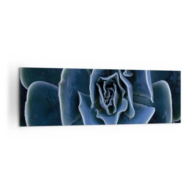 Bild auf Leinwand - Leinwandbild - Wüstenblume - 160x50 cm
