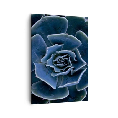 Bild auf Leinwand - Leinwandbild - Wüstenblume - 50x70 cm