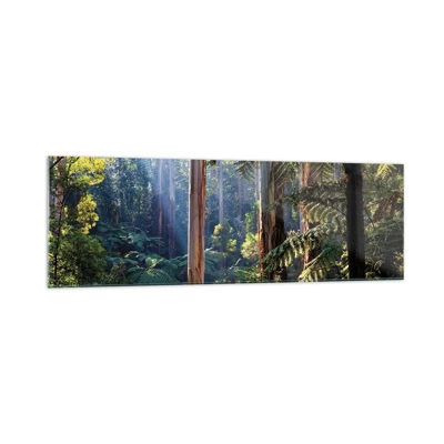 Glasbild - Bild auf glas - Ein Waldmärchen - 160x50 cm
