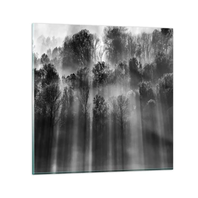 Glasbild - Bild auf glas - In Lichtstrahlen - 50x50 cm