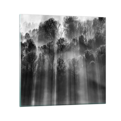 Glasbild - Bild auf glas - In Lichtstrahlen - 70x70 cm