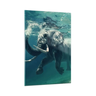 Glasbild - Bild auf glas - Jeder schwimmt gerne - 80x120 cm