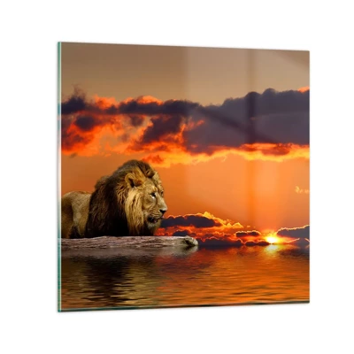 Glasbild - Bild auf glas - König der Natur - 60x60 cm