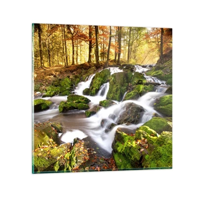 Glasbild - Bild auf glas - Rasch durch den herbstlichen Wald - 60x60 cm