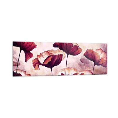 Glasbild - Bild auf glas - Rotes und weißes Blütenblatt - 160x50 cm