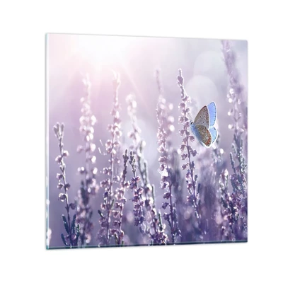Glasbild - Bild auf glas - Schmetterlingskuss - 50x50 cm