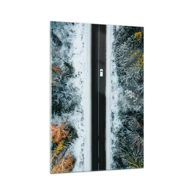 Glasbild - Bild auf glas - Schnitt durch den Winterwald - 70x100 cm