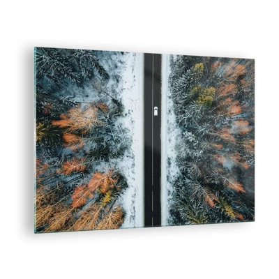 Glasbild - Bild auf glas - Schnitt durch den Winterwald - 70x50 cm