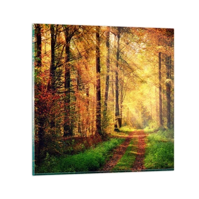 Glasbild - Bild auf glas - Waldgoldene Stille - 50x50 cm