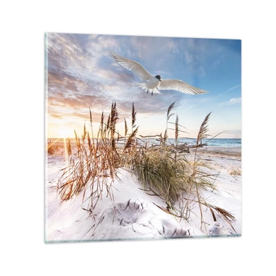 Glasbild - Bild auf glas - Wind vom Meer - 30x30 cm