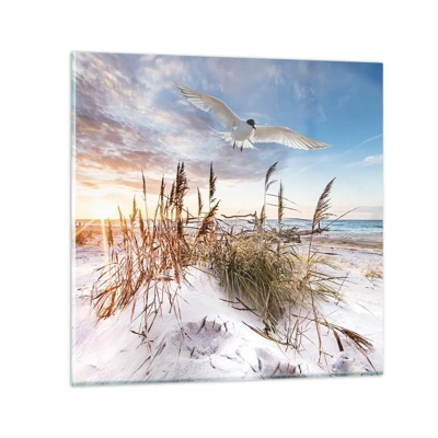 Glasbild - Bild auf glas - Wind vom Meer - 40x40 cm