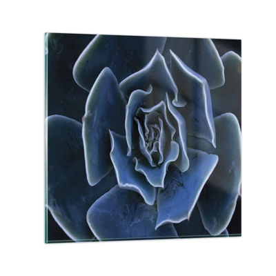 Glasbild - Bild auf glas - Wüstenblume - 50x50 cm