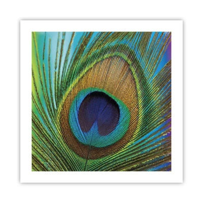 Poster - Auge in Auge - 50x50 cm