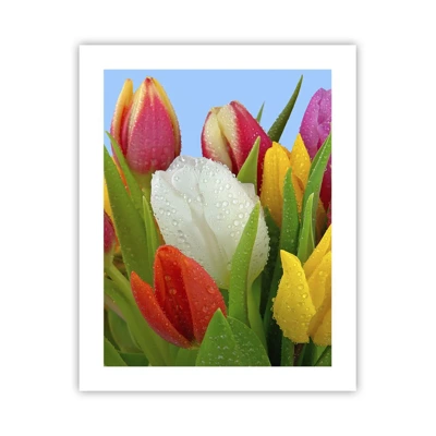 Poster - Ein blumiger Regenbogen in Tautropfen - 40x50 cm