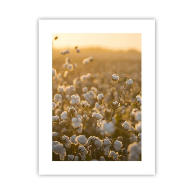 Poster - Fluffiges Feld - 30x40 cm