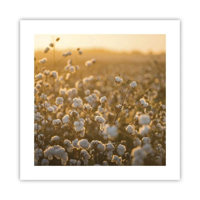 Poster - Fluffiges Feld - 40x40 cm