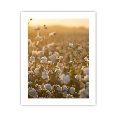 Poster - Fluffiges Feld - 40x50 cm