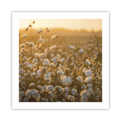 Poster - Fluffiges Feld - 50x50 cm