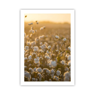 Poster - Fluffiges Feld - 50x70 cm