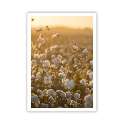 Poster - Fluffiges Feld - 70x100 cm