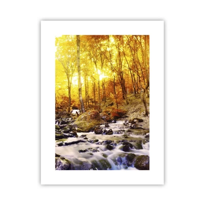 Poster - In Gold und Platin gefasste Steine - 30x40 cm