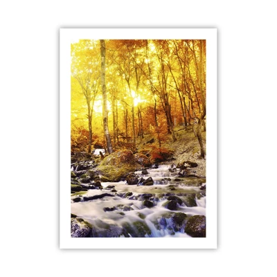 Poster - In Gold und Platin gefasste Steine - 50x70 cm