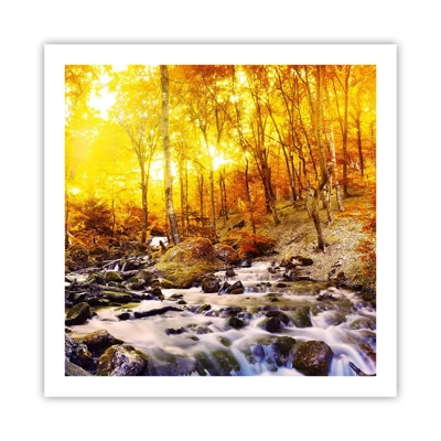 Poster - In Gold und Platin gefasste Steine - 60x60 cm