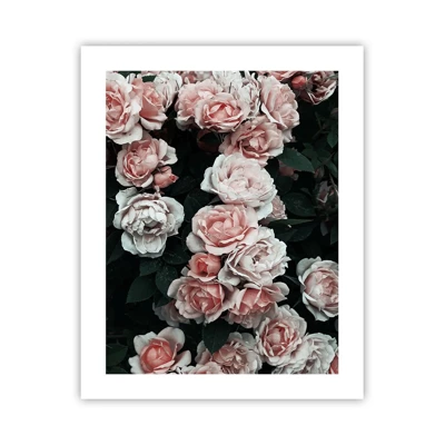 Poster - Rosen-Ensemble - 40x50 cm