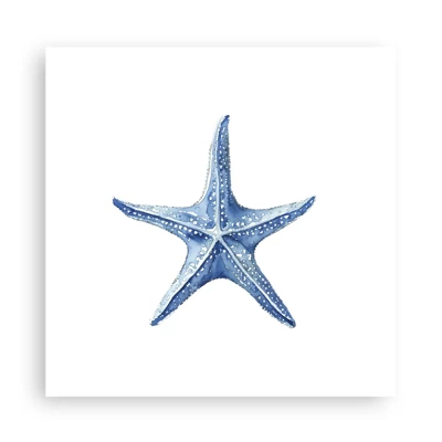 Poster - Stern des Meeres - 30x30 cm
