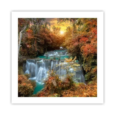 Poster - Versteckter Schatz des Waldes - 50x50 cm