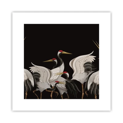 Poster - Vogelsachen - 30x30 cm