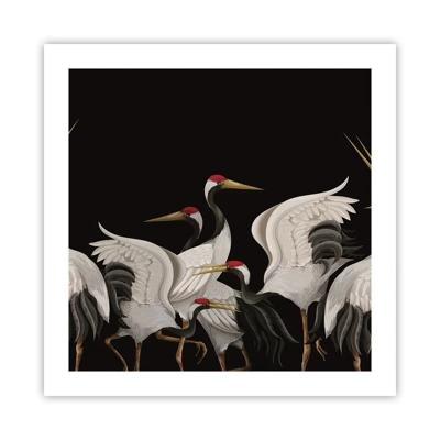 Poster - Vogelsachen - 50x50 cm