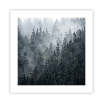 Poster - Walddämmerung - 40x40 cm