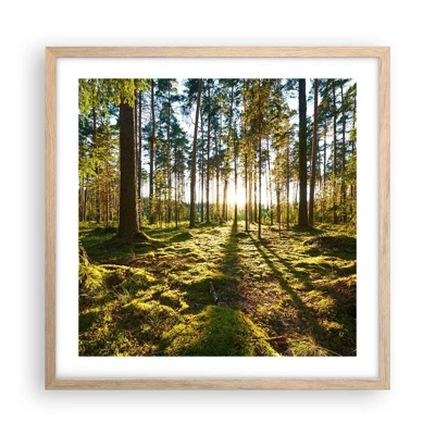 Poster in einem Rahmen aus heller Eiche - … Hinter den sieben Wäldern - 50x50 cm